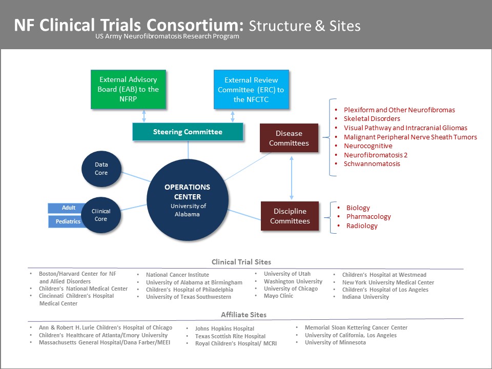 Consortium Structure